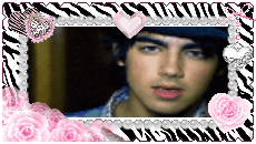 Joe SOS Stamp